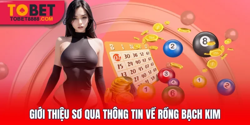 Giới thiệu sơ qua thông tin về Rồng Bạch Kim